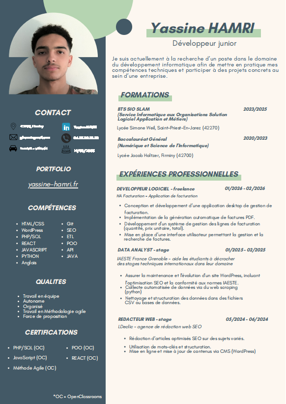 Aperçu CV Développeur Junior