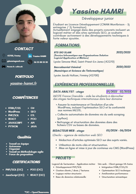 Aperçu CV Développeur Junior