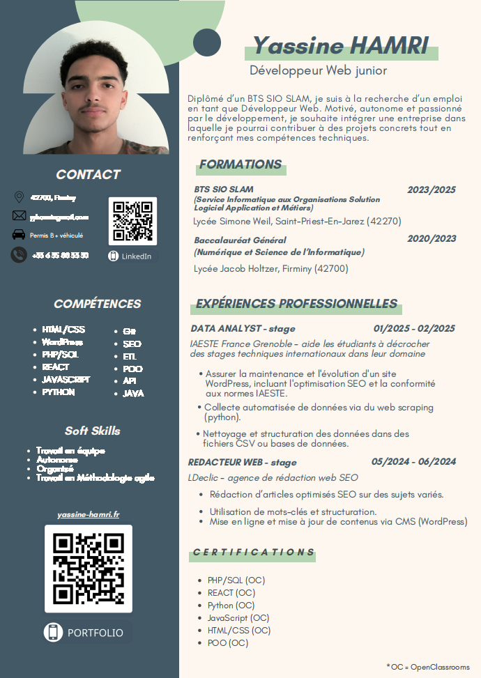 Aperçu CV Développeur Web